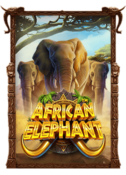 แพลตฟอร์มเครื่องสล็อต Pt ชื่อเสียง ทดลองเล่น โจ๊ก เกอร์